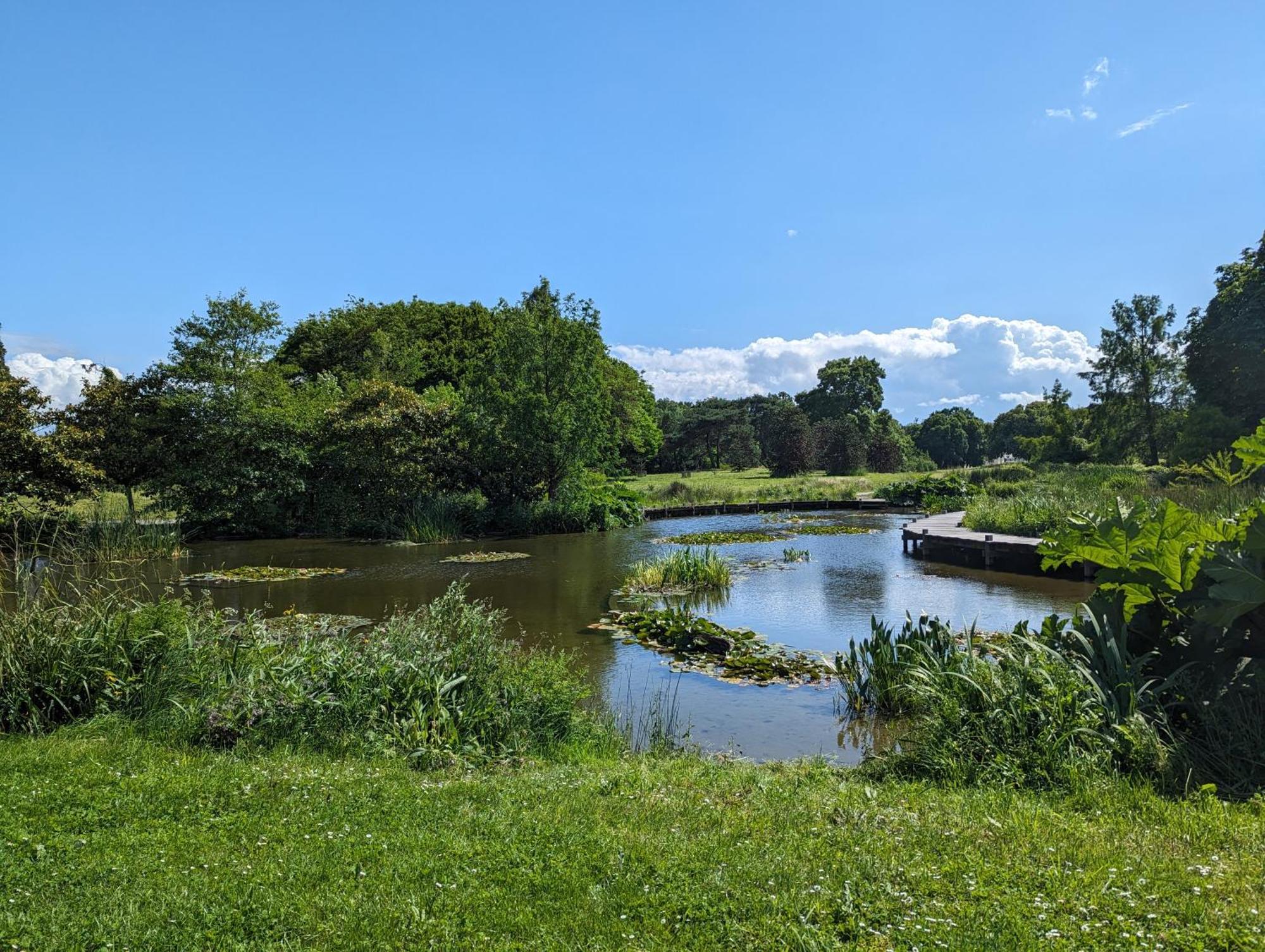 Le Brulis - La Nature En Appartement Nantes