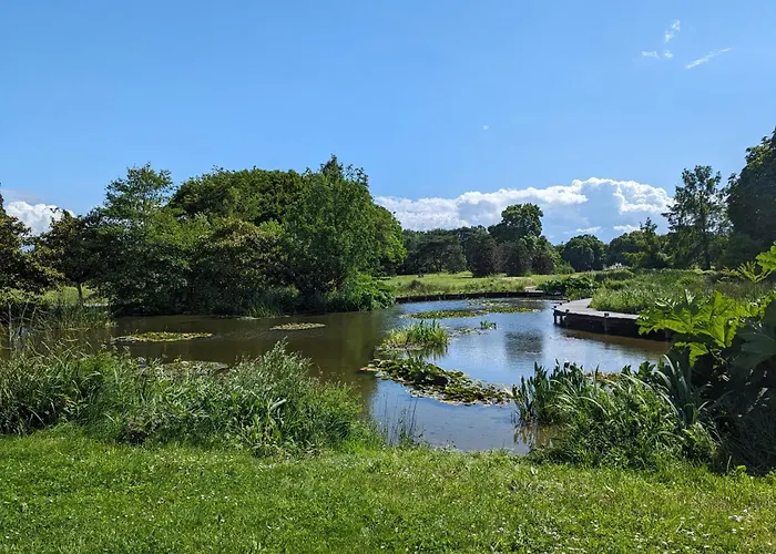 Le Brulis - La Nature En Ville